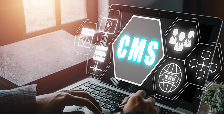 Content Management System image1